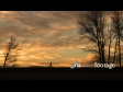 Woman Jogger with Dog 1 2992